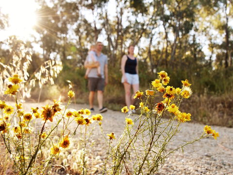 Nail Can Hill - Accommodation Gold Coast 0