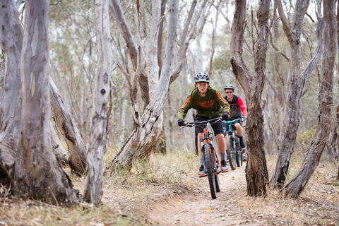 Nail Can Hill - Accommodation Gold Coast 1