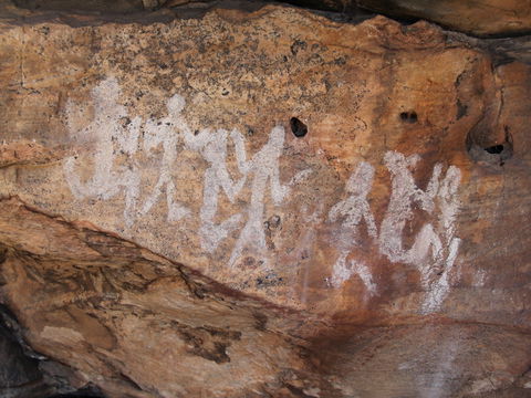 Ngamadjidj Shelter - Wartook Valley - Accommodation Gold Coast 0