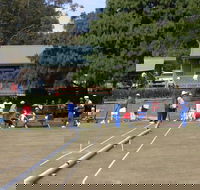 Nowra Croquet Club - 1 Gold Coast
