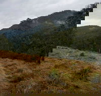 Nowendoc National Park - 1 Gold Coast