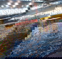 Oasis Regional Aquatic Centre - Accommodation Gold Coast