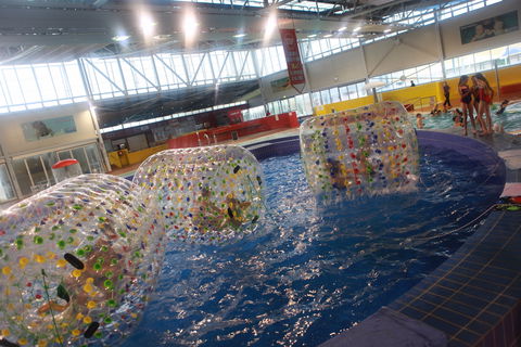 Oasis Regional Aquatic Centre - Accommodation Gold Coast 0