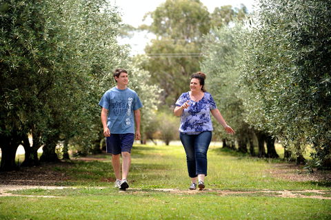 Olives Of Beaulieu - Accommodation Gold Coast 0