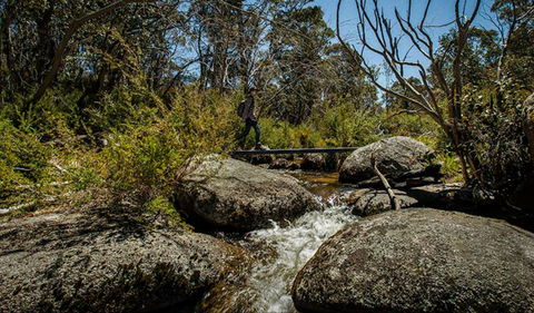 Pallaibo Walking Track - Accommodation Gold Coast 0