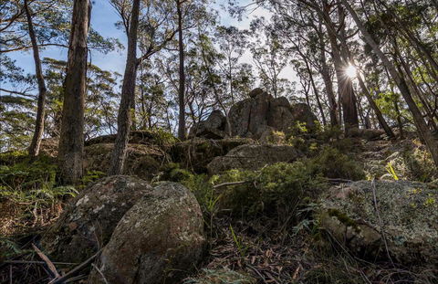 Pheasants Peak Walking Track - Accommodation Gold Coast 0