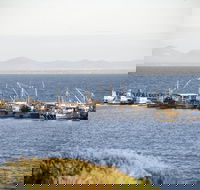 Portarlington - Accommodation Gold Coast