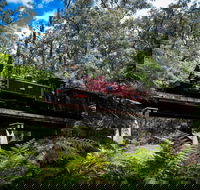 Puffing Billy Railway - Accommodation Gold Coast