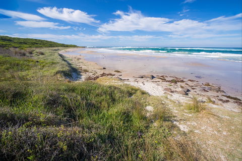 Racecourse Beach: Bawley Point - Accommodation Gold Coast 0