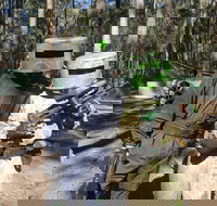 Rapid Fire Paintball - 1 Gold Coast