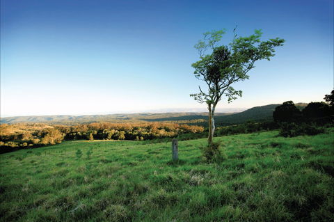 Ravensbourne National Park - Accommodation Gold Coast 0