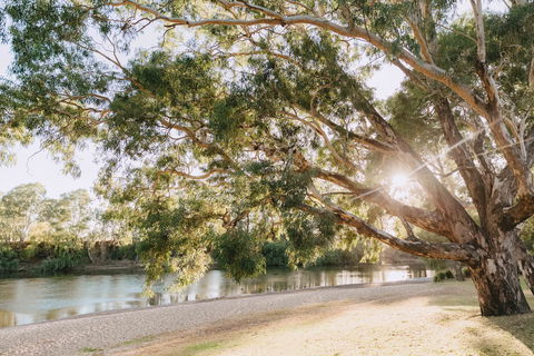 Riverside:  Wagga Beach - Accommodation Gold Coast 1