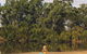 Riverside:  Wagga Beach - thumb 2