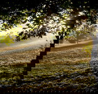 Ruffey Lake Park - Gold Coast 4U