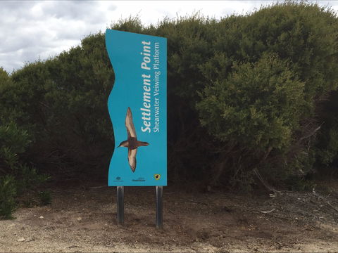 Settlement Point Viewing Platform - Accommodation Gold Coast 2