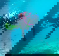 Shellharbour Scuba  and Photography Centre - Accommodation Gold Coast