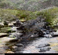 Thredbo River Track - Accommodation Gold Coast