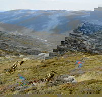 Thredbo Mountain Biking - Accommodation Gold Coast