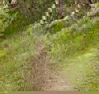 Three Views walking track