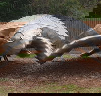 Underwater Marine Sculptures - Accommodation Gold Coast