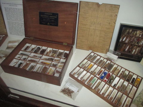 UQ Marks-Hirschfeld Museum Of Medical History - Accommodation Gold Coast 0