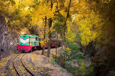 Walhalla Goldfields Railway - Accommodation Gold Coast 2