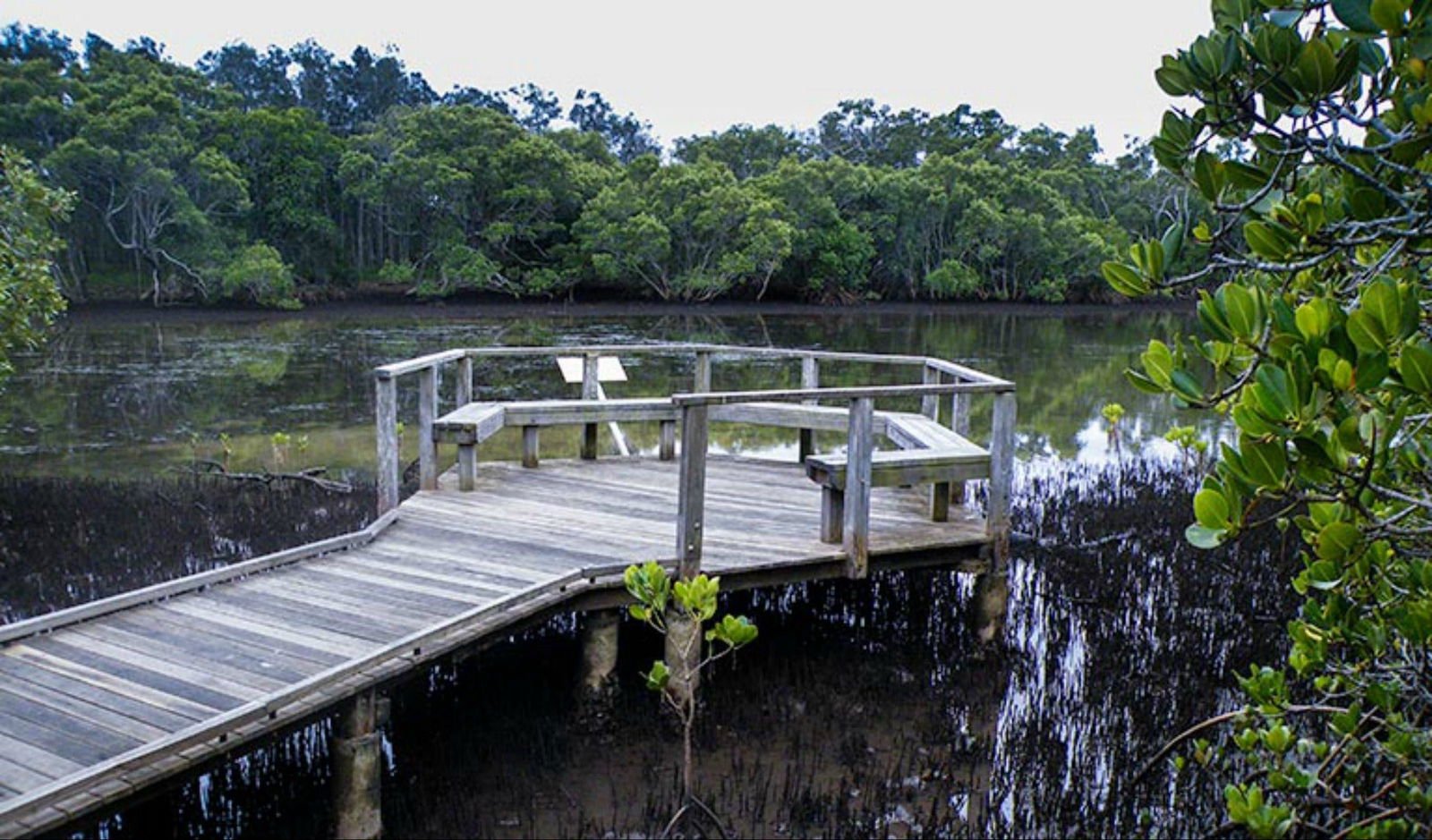 Tweed Heads South NSW 1 Gold Coast