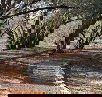 Warrego Floodplain walking track - Gold Coast 4U