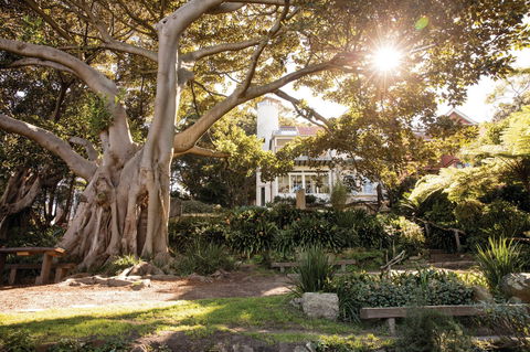 Wendy Whiteley's Secret Garden - Gold Coast 4U 0