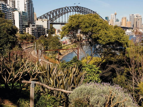 Wendy Whiteley's Secret Garden - Gold Coast 4U 2