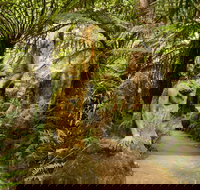 William Ricketts Sanctuary - Accommodation Gold Coast