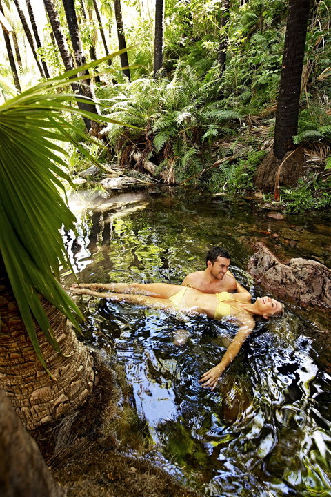 Wool Wagon Pathway - Accommodation Gold Coast 1