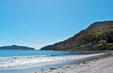 Yacaaba Headland Walking Track - Accommodation Gold Coast 0
