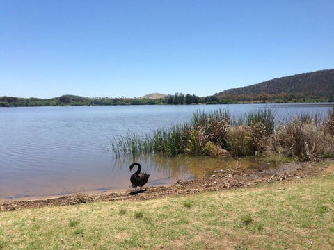 Yarralumla Bay - Accommodation Gold Coast 0
