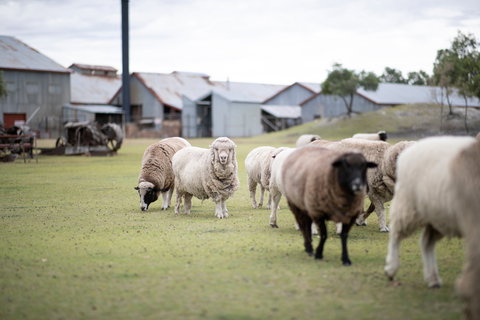14 Day Gems Of The Outback - Accommodation Gold Coast 2