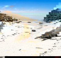 Abrolhos Islands - Accommodation Gold Coast