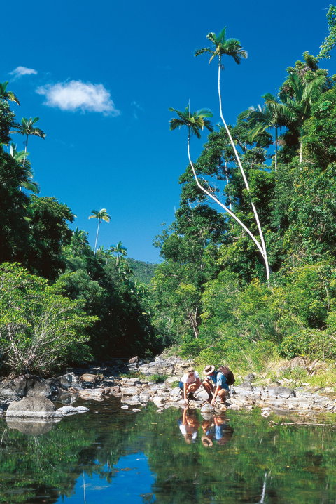 Airlie Beach To Cedar Creek Falls - Accommodation Gold Coast 1