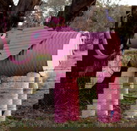 Animals on Bikes - Accommodation Gold Coast