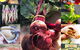 Ballina Farmers Market - thumb 0