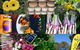 Ballina Farmers Market - thumb 1