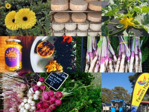 Ballina Farmers Market - Gold Coast 4U 1