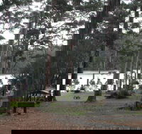 Big Brook Arboretum - Accommodation Gold Coast