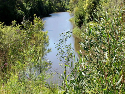 Blue Gum Hills Regional Park - Accommodation Gold Coast 1