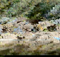 Boonoo Boonoo National Park - Accommodation Gold Coast