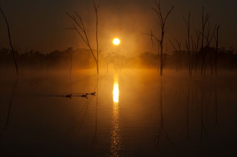 Boshack Outback - Accommodation Gold Coast 1