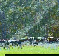 Boyanup - 1 Gold Coast