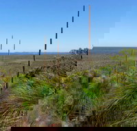 Broadwater National Park - 1 Gold Coast