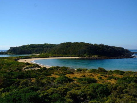 Broulee Island Nature Reserve Walk - Accommodation Gold Coast 0