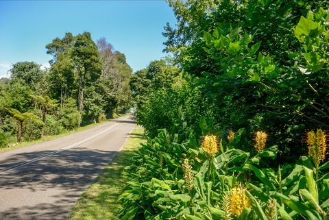 Broughton Vale - Accommodation Gold Coast 0