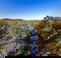 Capricorn Coast Pineapple Rail Trail - Accommodation Gold Coast